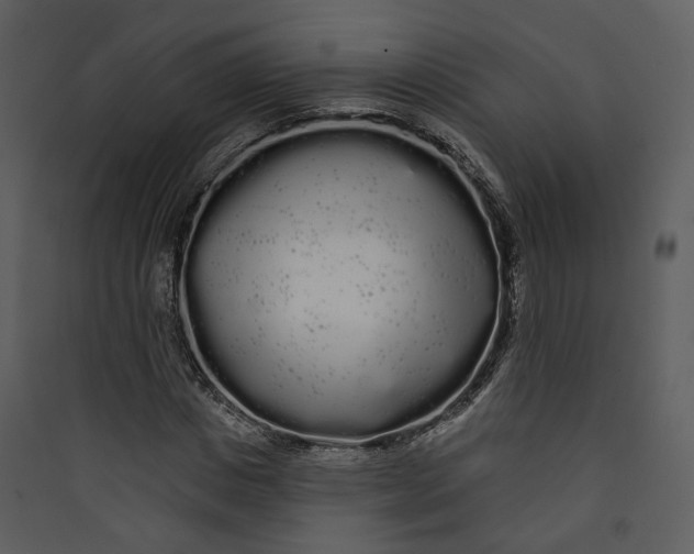 X0000089760825200707121401