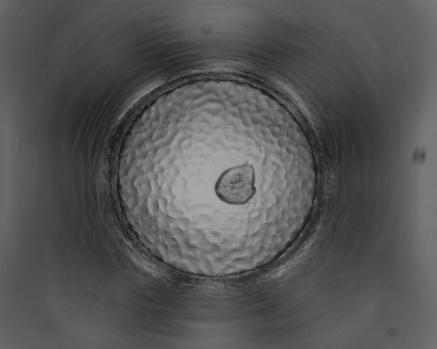 X0000089760827200707121401