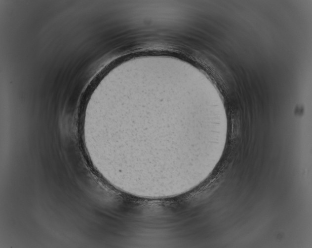 X0000089760828200707121401