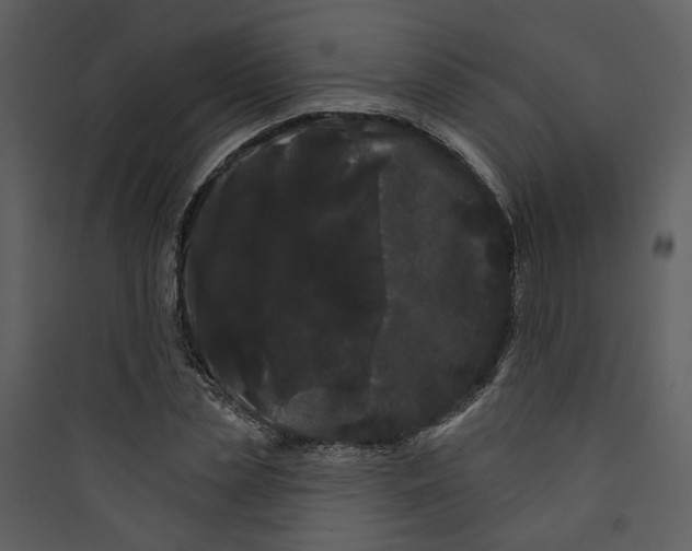 X0000089760829200707121401