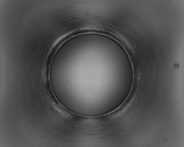 X0000089760830200707121401