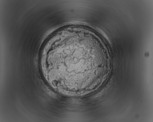 X0000089760831200707121401