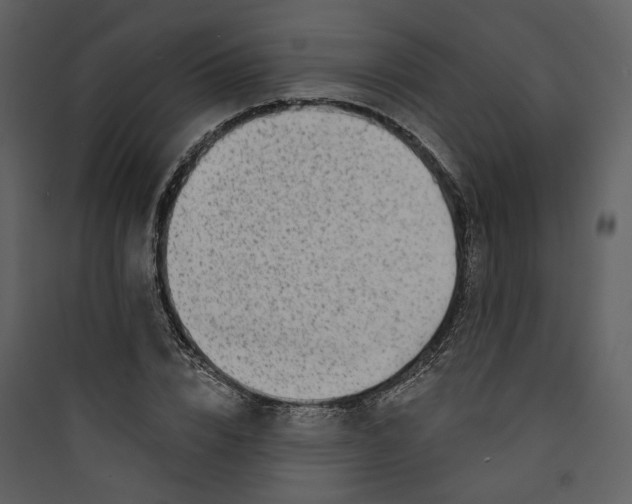 X0000089760832200707121401