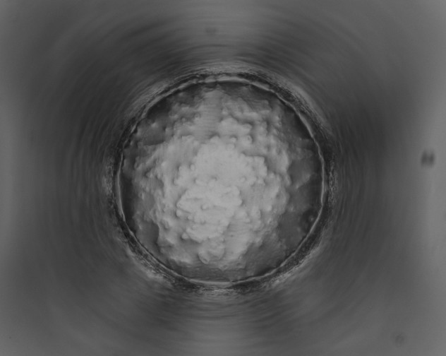 X0000089760833200707121401