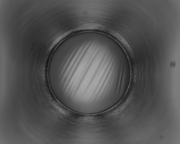 X0000089760834200707121401