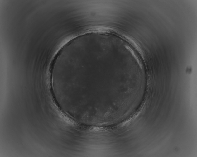 X0000089760835200707121401