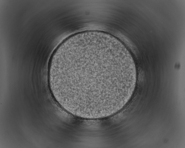 X0000089760836200707121401