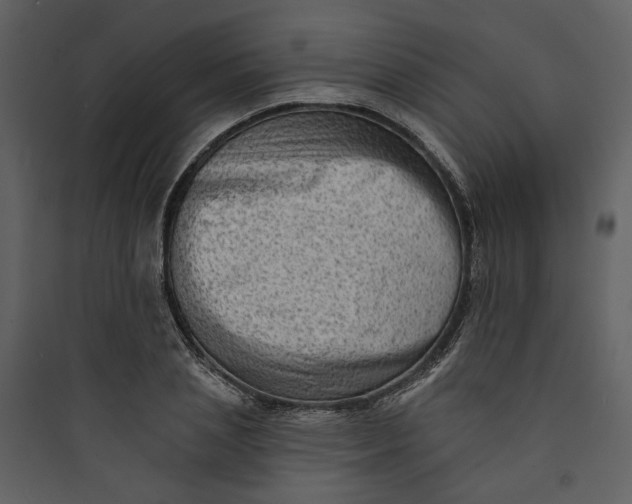 X0000089760837200707121402