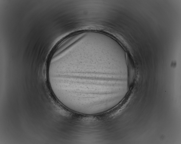 X0000089760838200707121402