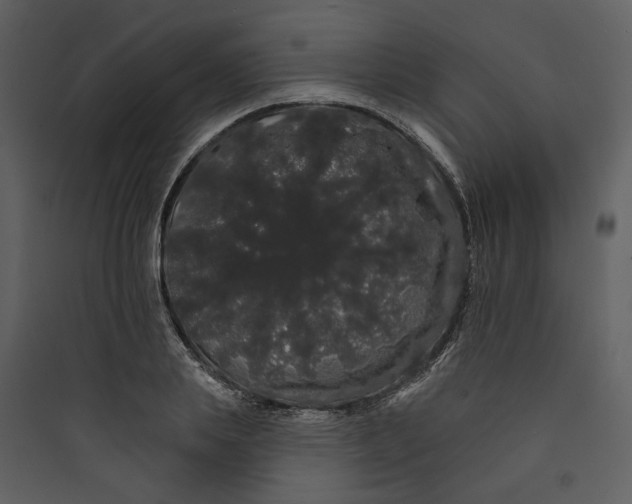 X0000089760839200707121402