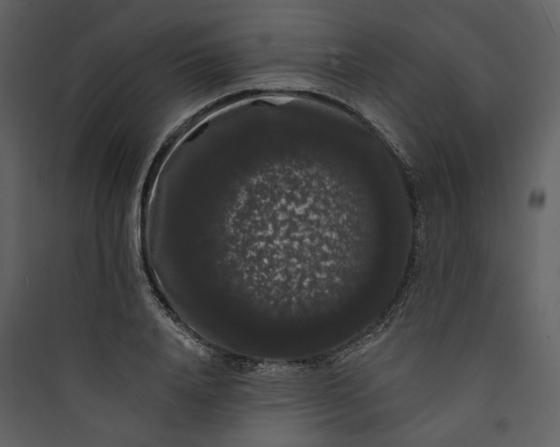 X0000089760840200707121402