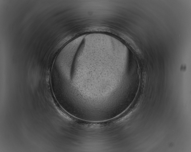 X0000089760841200707121402