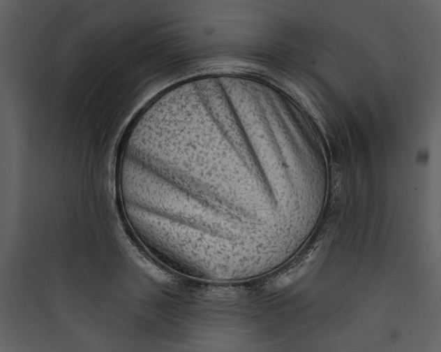 X0000089760843200707121402