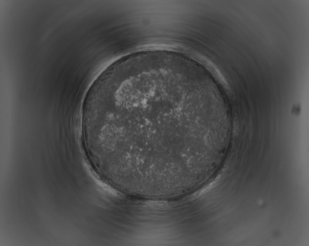 X0000089760844200707121402