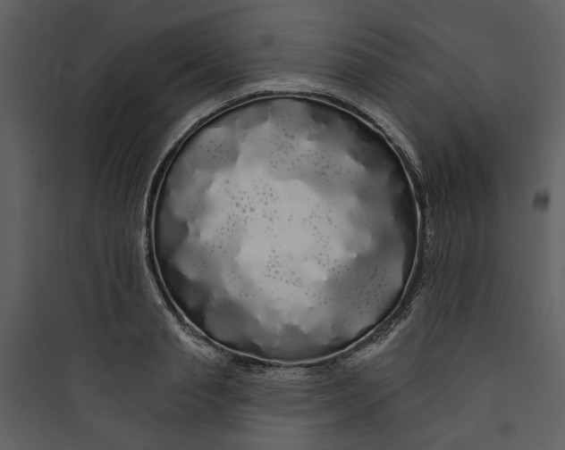 X0000089760845200707121402