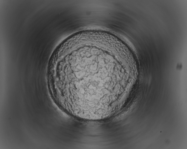 X0000089760847200707121402