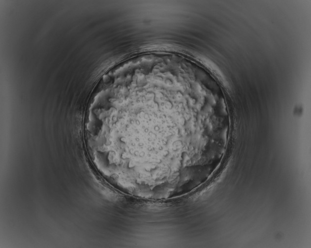 X0000089760849200707121402