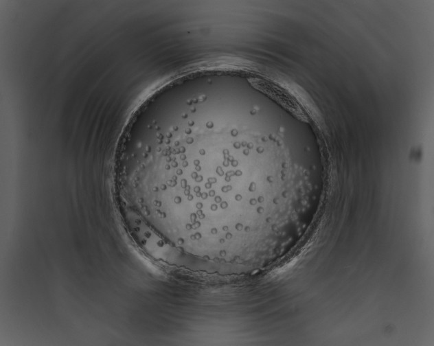 X0000089760850200707121402