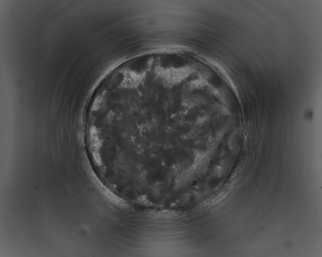 X0000089760851200707121402