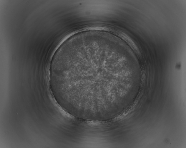 X0000089760852200707121402