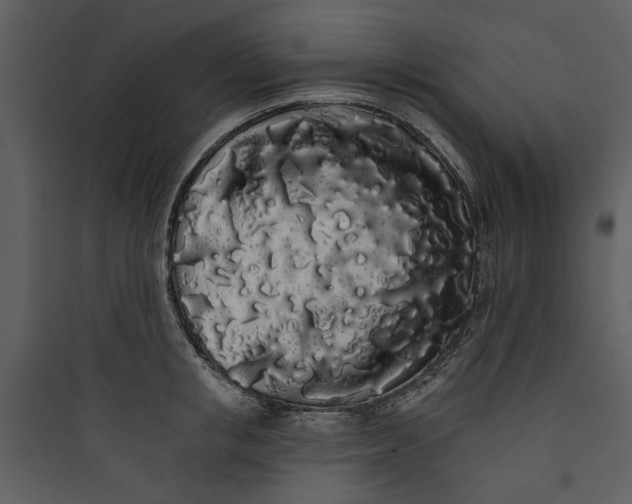 X0000089760853200707121402