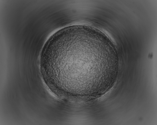 X0000089760854200707121402