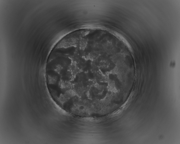 X0000089760855200707121402