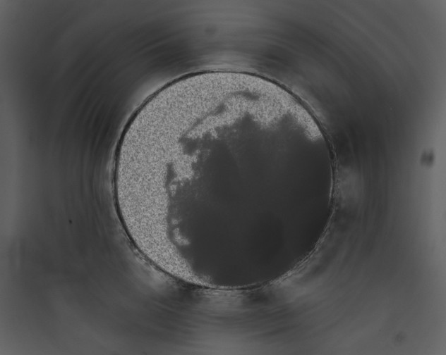 X0000089760856200707121402