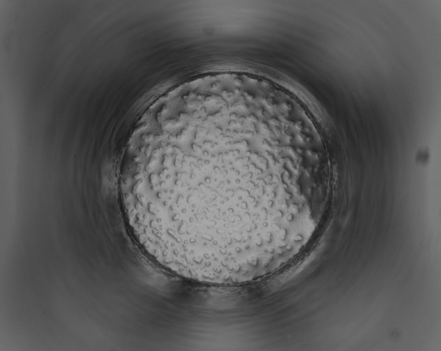 X0000089760857200707121402