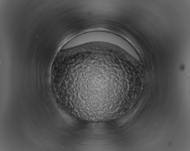 X0000089760858200707121402