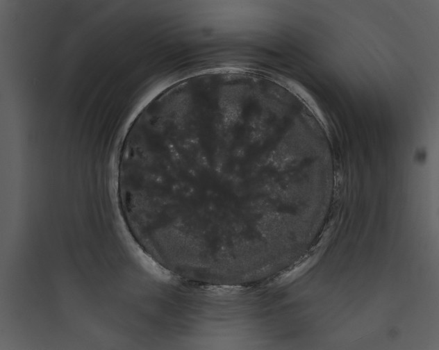 X0000089760859200707121402