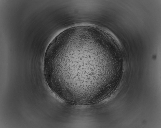 X0000089760860200707121402