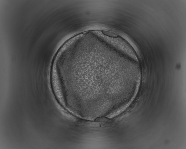 X0000089760861200707121402