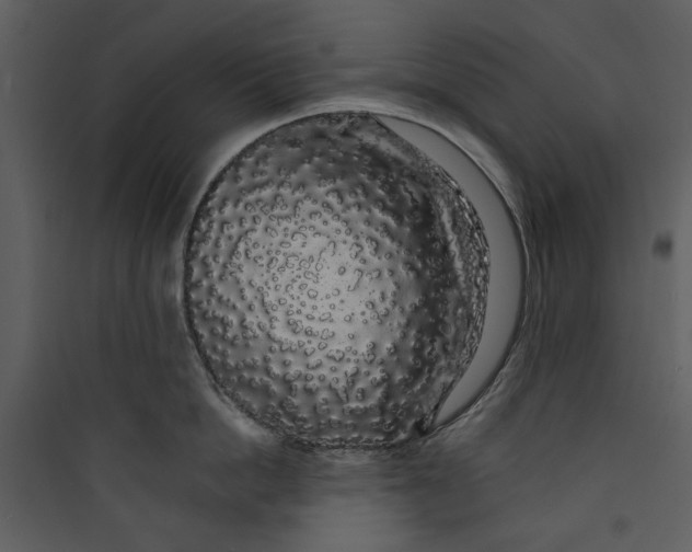 X0000089760862200707121402