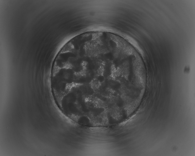 X0000089760863200707121402