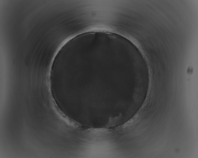 X0000089760864200707121402