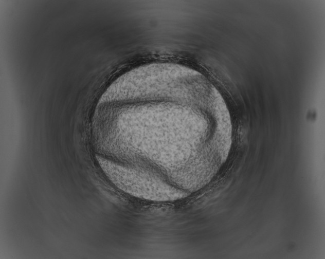 X0000089760865200707121401