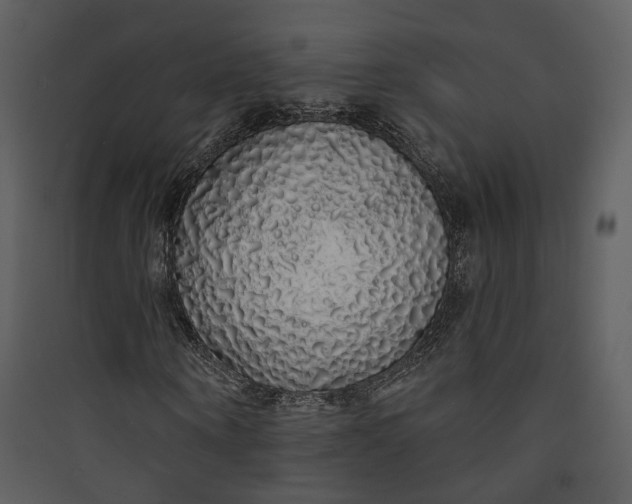 X0000089760866200707121401