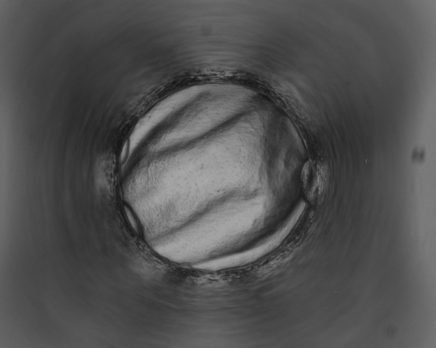 X0000089760867200707121401