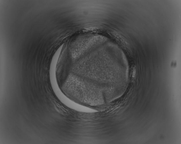 X0000089760868200707121401