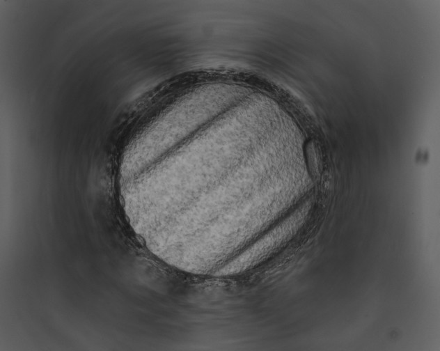 X0000089760869200707121401