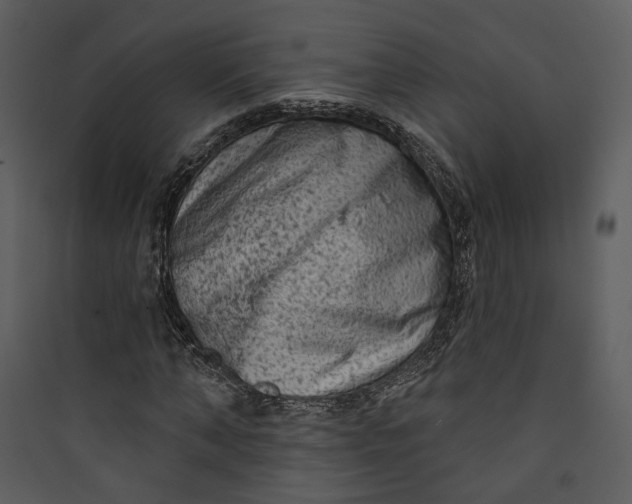 X0000089760870200707121401