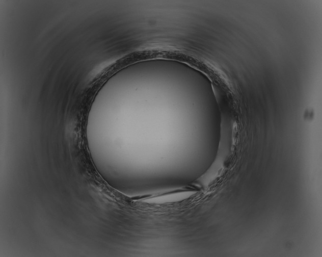 X0000089760872200707121401