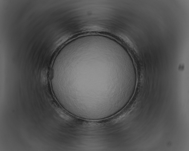 X0000089760873200707121401