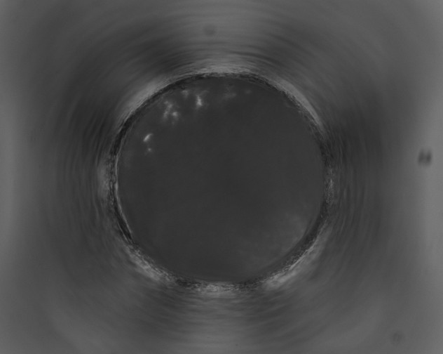 X0000089760874200707121401