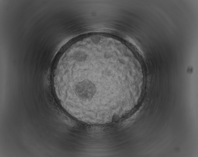 X0000089760875200707121401