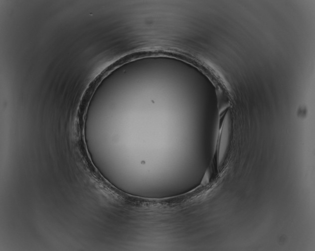 X0000089760876200707121401