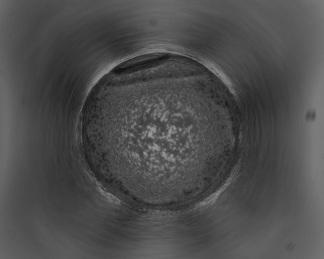 X0000089760877200707121401