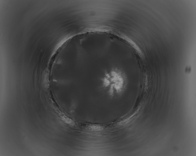 X0000089760878200707121401