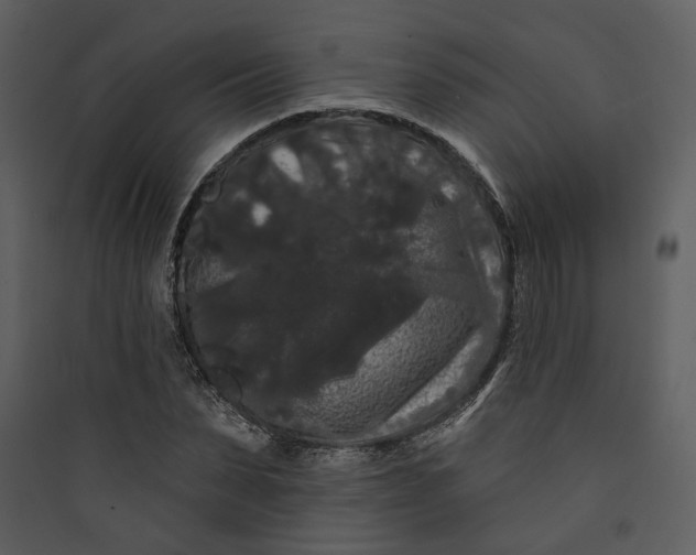 X0000089760879200707121401